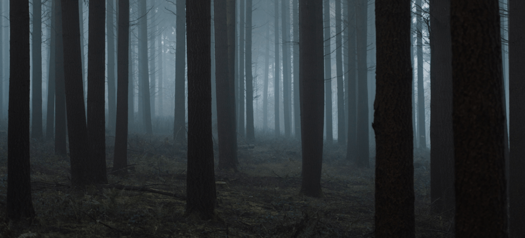 Unplug to Reconnect: A Simple Guide to Doing a Digital Detox